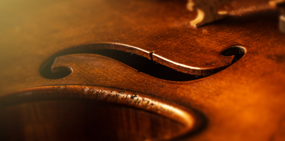 violoncello